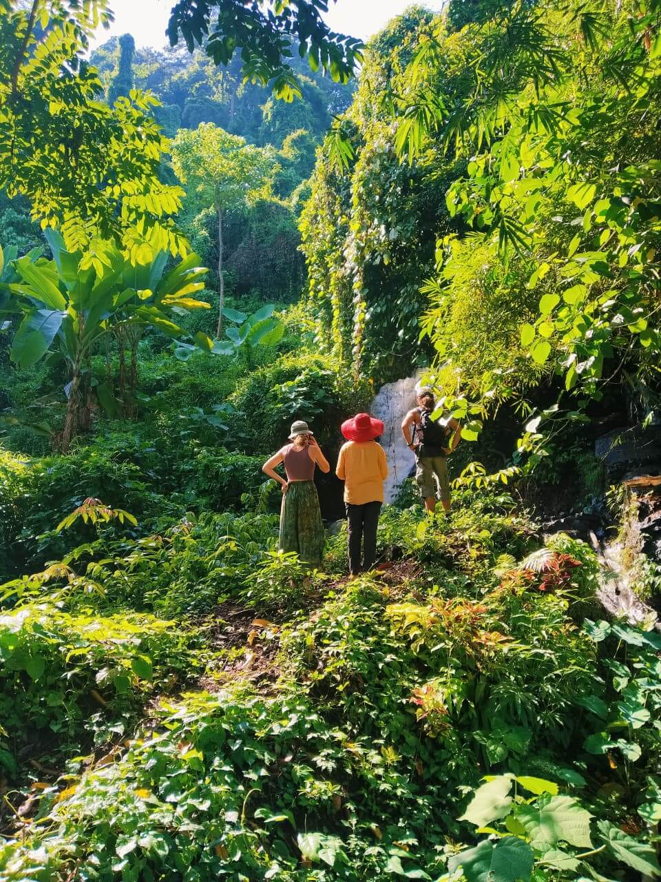 Senaru Waterfall North Lombok